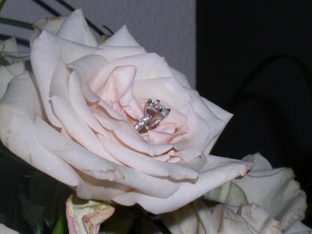 PC250011.JPG