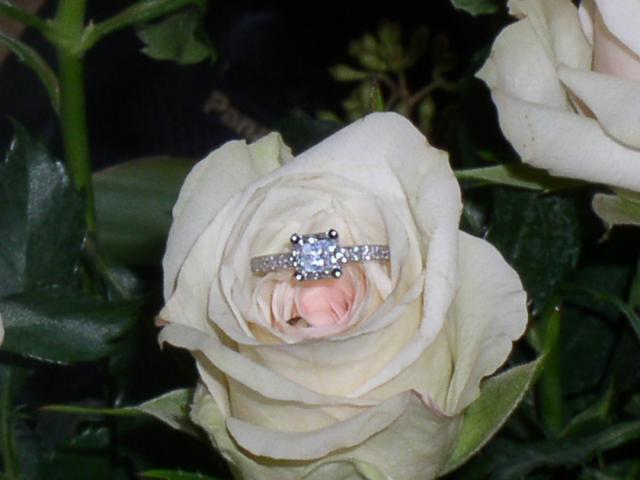 PC250017.JPG
