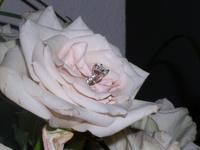 PC250011.JPG