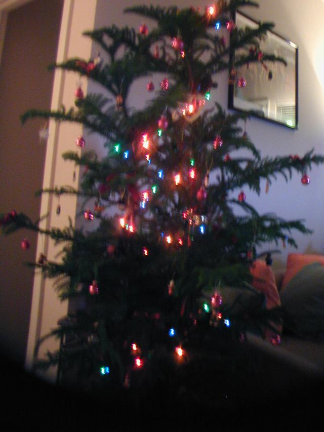 2002/12(December)/Misc-Christmas-Pics/640x480_PC020062.JPG