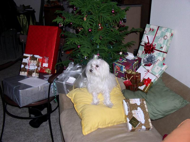 2002/12(December)/Misc-Christmas-Pics/800x600_PC210001.JPG