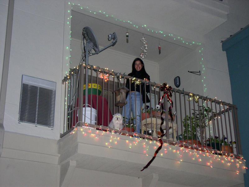 2002/12(December)/Misc-Christmas-Pics/800x600_PC290023.JPG