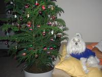 PC050069.JPG