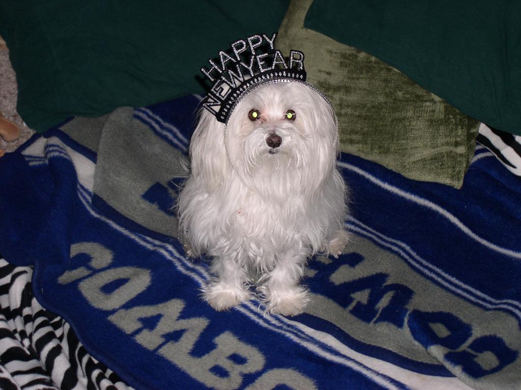 2002/12(December)/New-Years-Eve-Gala/1024x768_P1010060.JPG