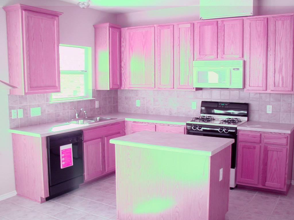 2003/01(January)/First-House/1024x768_P1010034.JPG