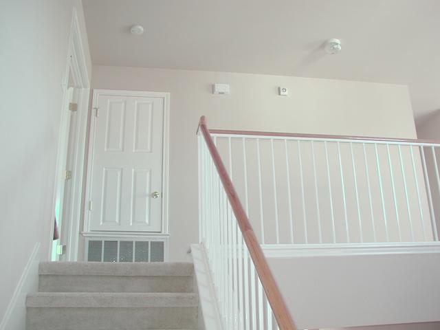 P1010011.JPG