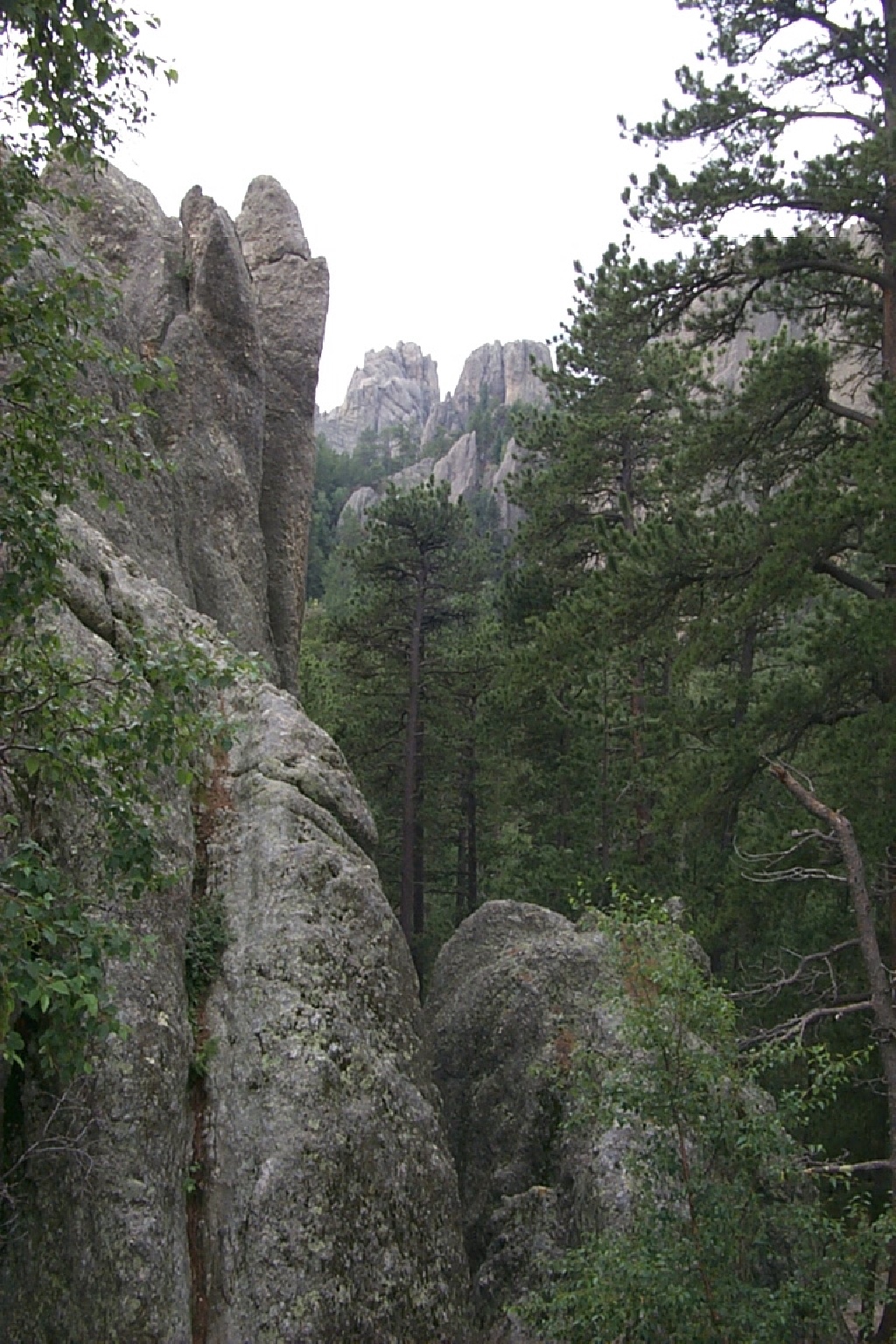 2000/00(SDSMT_REUNION)/1024x768_2000-07-10-1872-Needles.JPG