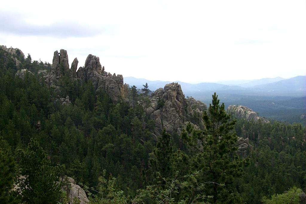 2000-07-10-1875-Needles-Highway.JPG