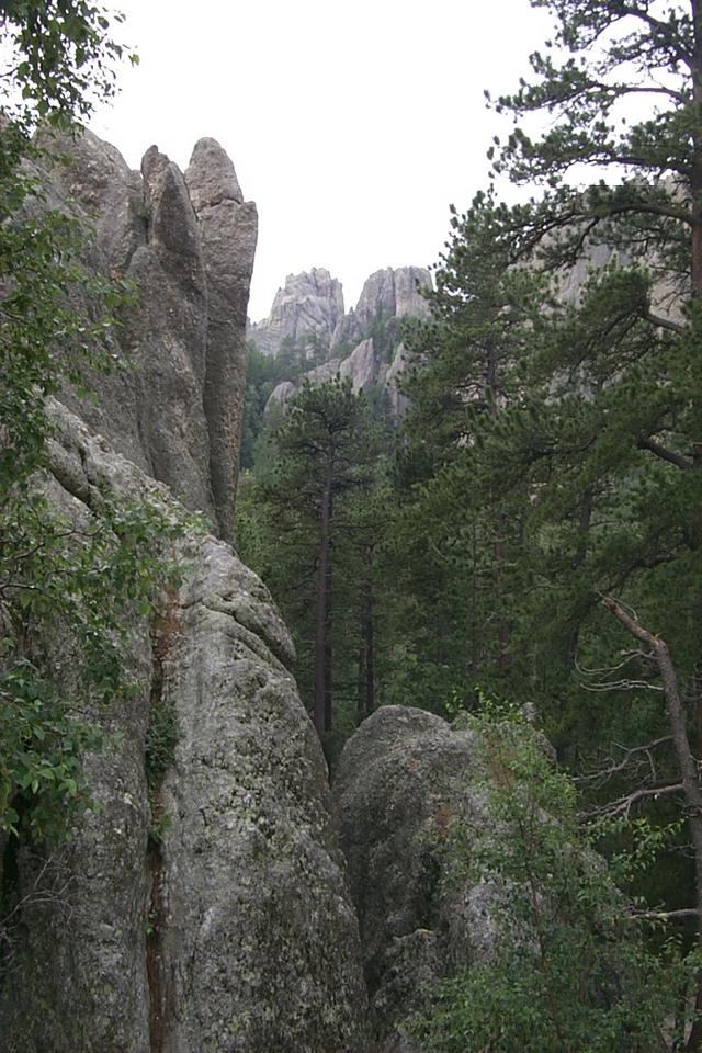 2000-07-10-1872-Needles.JPG
