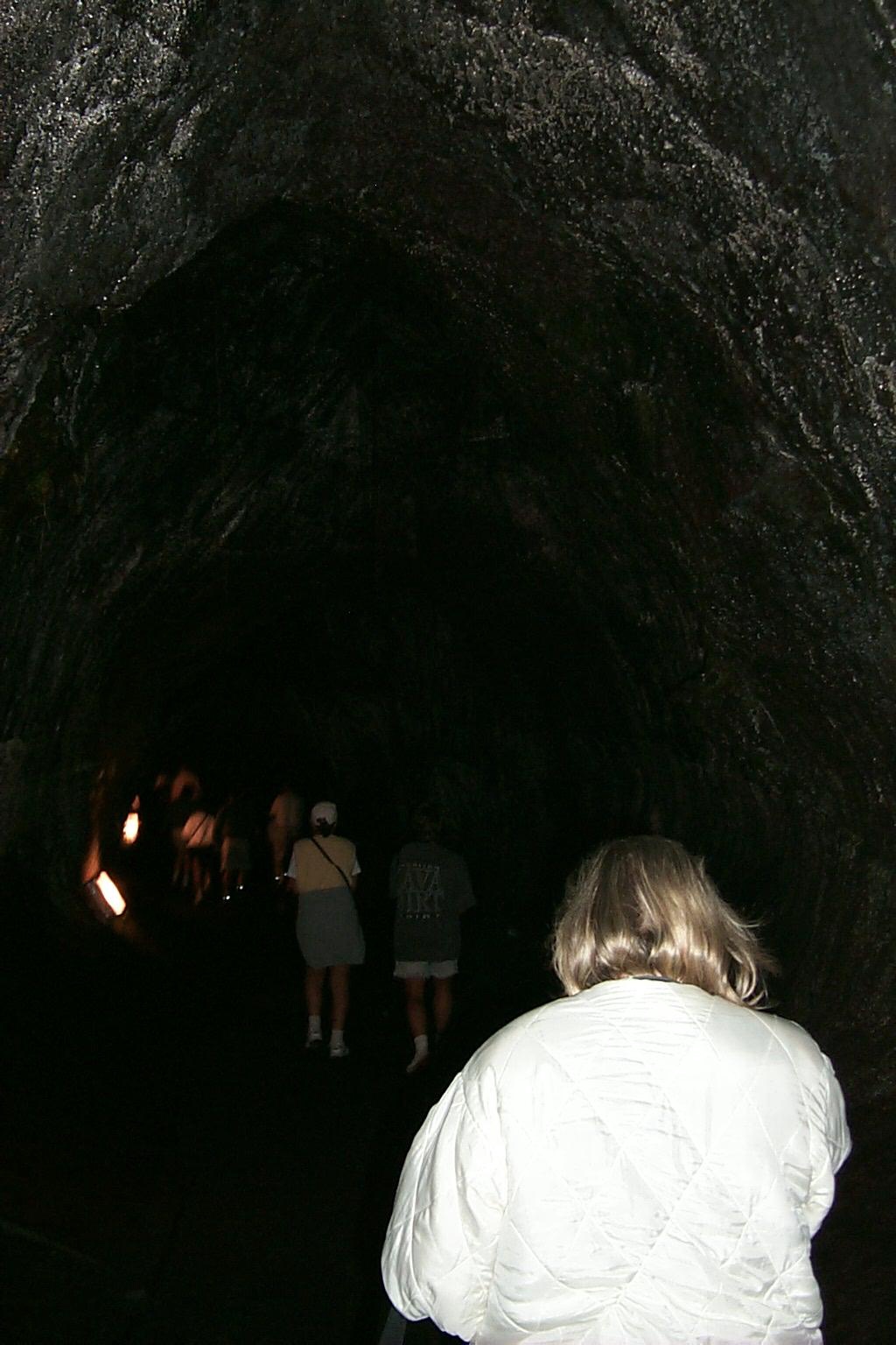 2000/01(January)/Hawaii/1024x768_2000-01-28-917-Volcano-Lava-Tube.JPG