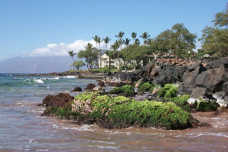 2000-01-27-891-Grand-Wailea-Beach.JPG