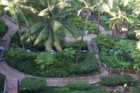 2000-01-27-858-View-from-room-North-Hawaiian-Garden.JPG
