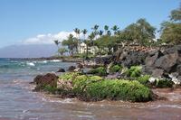 2000-01-27-891-Grand-Wailea-Beach.JPG