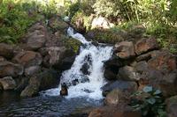 2000-01-27-894-Grand-Wailea-Grounds.JPG