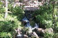 2000-01-27-8966-Grand-Wailea-Grounds.JPG