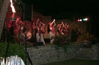 2000-01-27-910-Luau-Ho-olaulea-Hula-Dancers.JPG