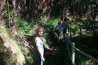 2000-01-28-915-National-Park-Rain-Forest.JPG