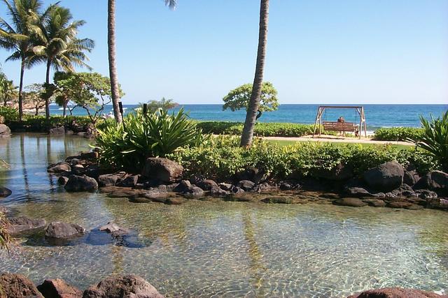 2000-01-31-990-Kauai-Hyatt-Pool-Ocean.JPG