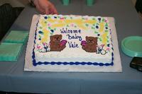 2000-01-22-833-Shower-Cake.JPG