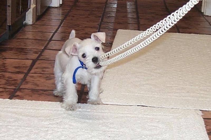 2000/02(February)/Josh's_Packet/800x600_2000-02-26-1048-Packet.JPG