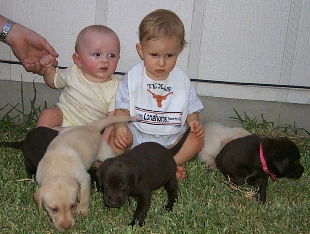 2000/08(August)/Welcome_Back_to_Austin/1024x768_2000-08-11-2049-Puppies-Chance-Vale.JPG
