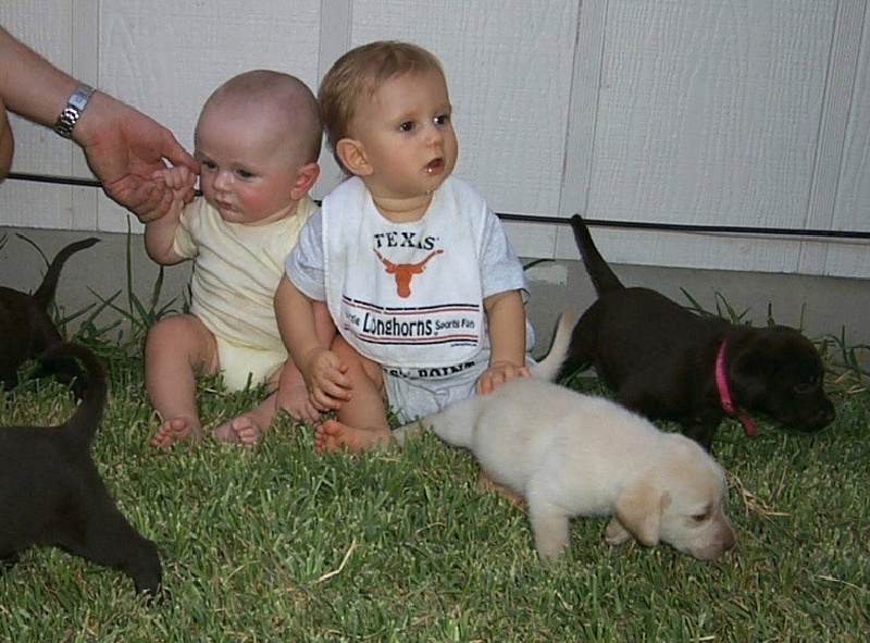 2000/08(August)/Welcome_Back_to_Austin/800x600_2000-08-11-2048-Puppies-Chance-Vale.JPG