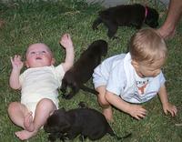 2000-08-11-2047-Puppies.JPG