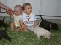 2000-08-11-2048-Puppies-Chance-Vale.JPG