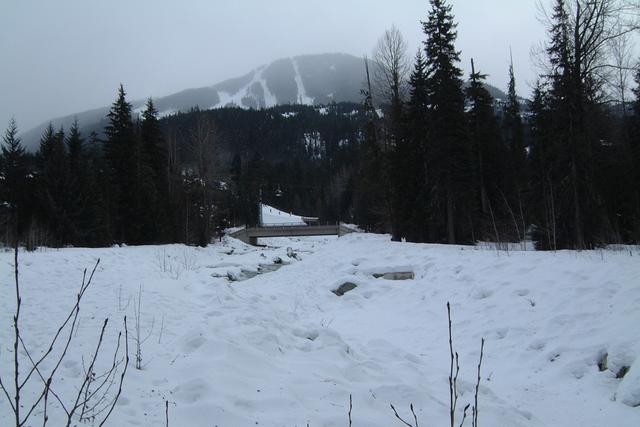 2001/02(February)/2(Whistler_Family_Ski_Trip)/640x480_2001-02-16-3-Whistler-Creek-SkiSlope.JPG