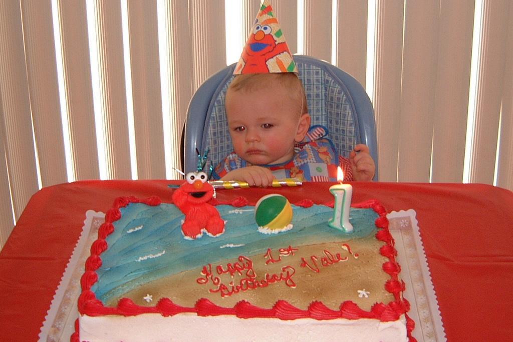 2001/03(March)/Vales_First_Birthday/1024x768_2001-03-04-26-Clean-Vale-Beautiful-Cake.JPG