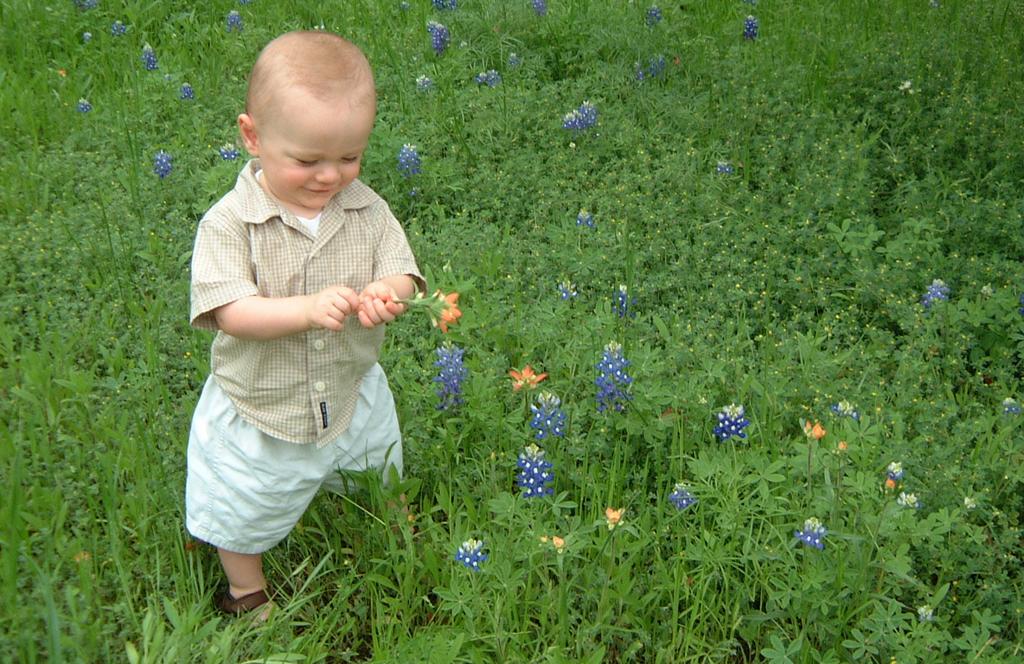 2001/04(April)/2(Bluebonnets_and_Easter_Bunny)/1024x768_2001-04-04-23-Vale-Bluebonnets.JPG
