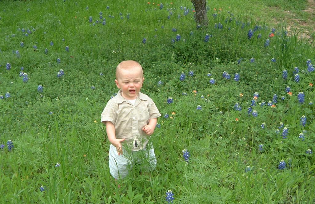 2001/04(April)/2(Bluebonnets_and_Easter_Bunny)/1024x768_2001-04-04-25-Vale-Bluebonnets.JPG
