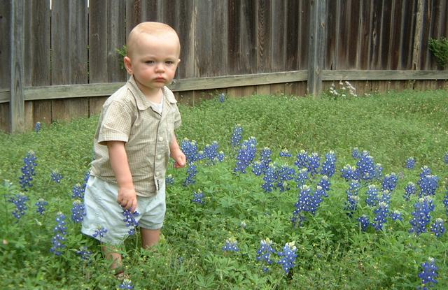 2001/04(April)/2(Bluebonnets_and_Easter_Bunny)/640x480_2001-04-04-22-Vale-Bluebonnets.JPG
