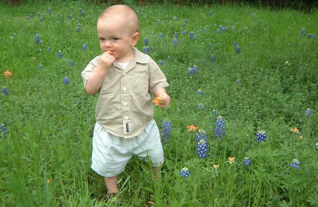 2001/04(April)/2(Bluebonnets_and_Easter_Bunny)/640x480_2001-04-04-24-Vale-Bluebonnets.JPG
