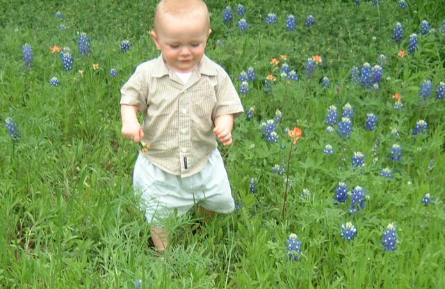2001/04(April)/2(Bluebonnets_and_Easter_Bunny)/640x480_2001-04-04-26-Vale-Bluebonnets.JPG