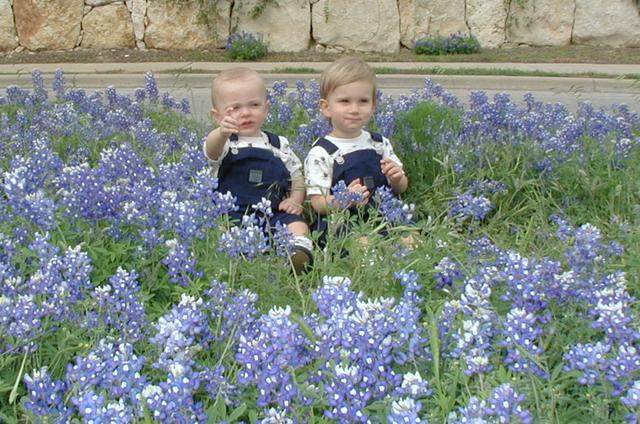 2001/04(April)/2(Bluebonnets_and_Easter_Bunny)/640x480_2001-04-07-51-Bluebonnets-Vale-Chance.JPG