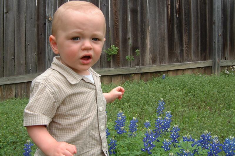 2001/04(April)/2(Bluebonnets_and_Easter_Bunny)/2001-04-04-20-Vale-Bluebonnets.JPG