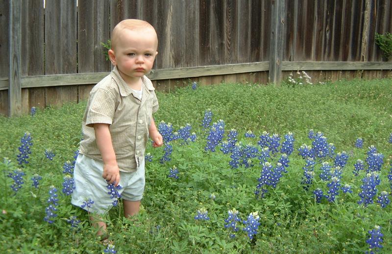 2001/04(April)/2(Bluebonnets_and_Easter_Bunny)/800x600_2001-04-04-22-Vale-Bluebonnets.JPG