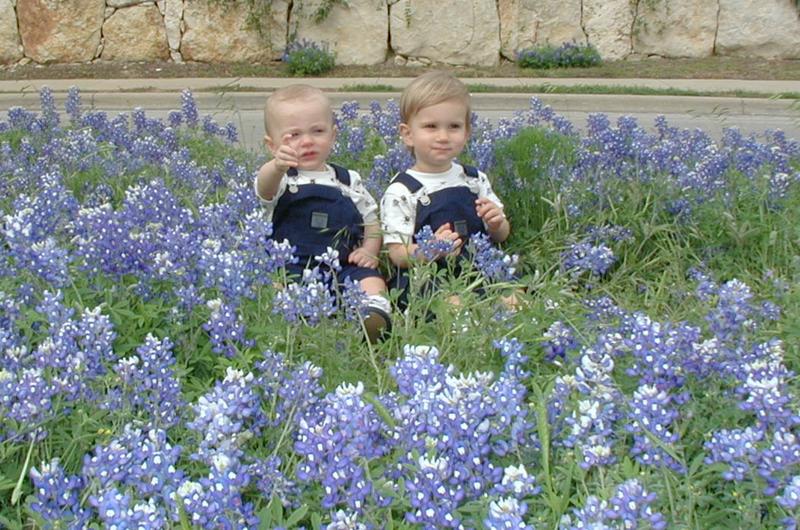 2001/04(April)/2(Bluebonnets_and_Easter_Bunny)/800x600_2001-04-07-51-Bluebonnets-Vale-Chance.JPG