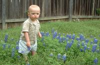 2001-04-04-22-Vale-Bluebonnets.JPG