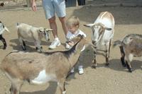 2001-04-07-24-Austin-Zoo-Chance.JPG