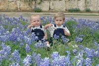 2001-04-07-39-Bluebonnets-Vale-Chance.JPG