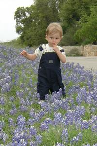2001-04-07-56-Bluebonnets-Chance.JPG