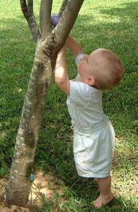 2001-04-15-14-Egg-Hunt.JPG