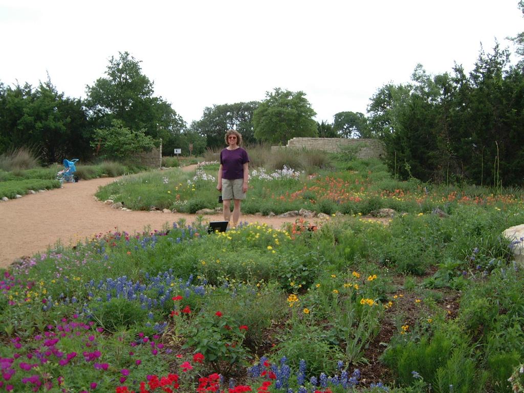 2001/04(April)/4(Heather_Joan_Tour_Austin_Flowers)/1024x768_2001-04-21-12-LadyBird-Wildflower-Center.JPG