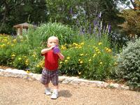 2001-04-21-11-Zilker-Gardens.JPG