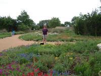 2001-04-21-12-LadyBird-Wildflower-Center.JPG