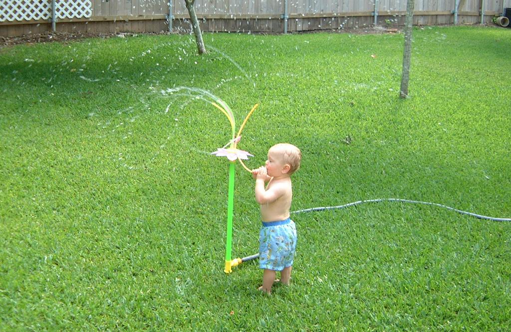 2001/05(May)/2(Backyard_Fun)/1024x768_2001-05-18-02-Sprinkler-Fun-Vale.JPG