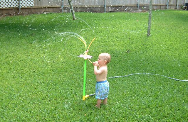 2001/05(May)/2(Backyard_Fun)/640x480_2001-05-18-02-Sprinkler-Fun-Vale.JPG