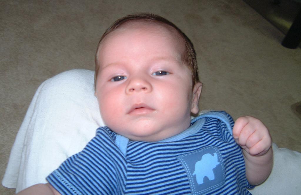 2001/06(June)/4(Dax_8-weeks)/1024x768_2001-06-30-3-Dax-8-weeks.JPG